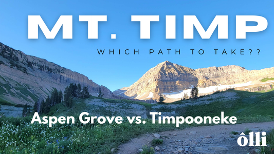 Which trail should you take to hike Mount Timpanogos?